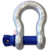 Alloy Screw Pin Anchor Shackles, Hot Dipped Galvanized